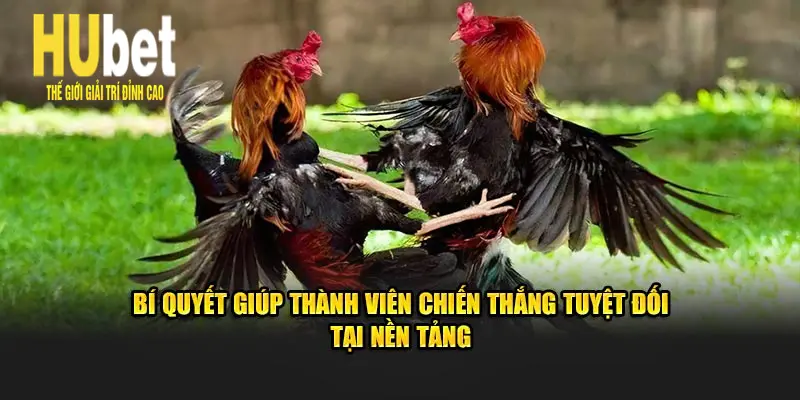 Bí quyết giúp thành viên chiến thắng tuyệt đối tại Hubet